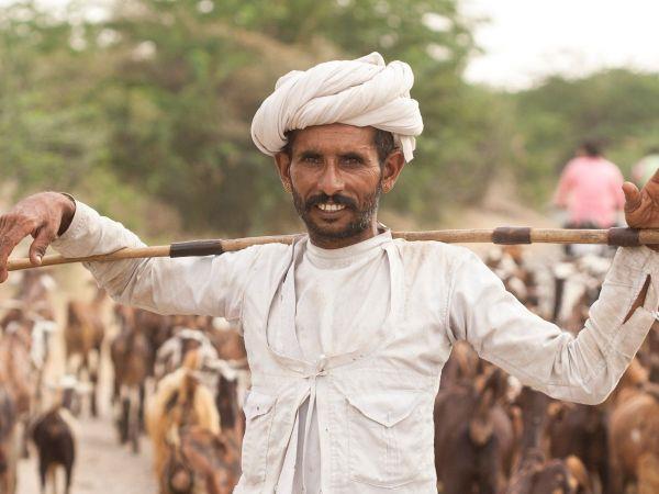Rajasthan small group tour, India