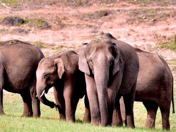 India small group holiday, South India