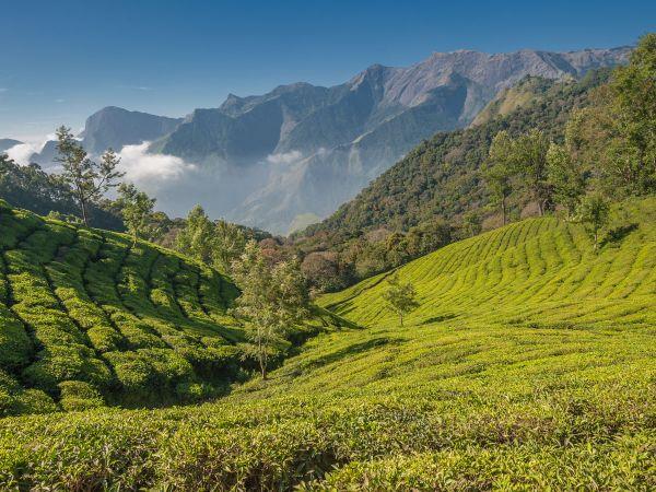 Kerala and Karnataka small group holiday, India