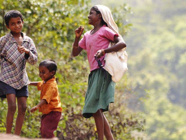 Kerala and Karnataka small group holiday, India