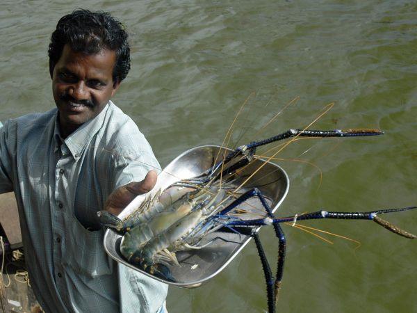 Kerala and Karnataka small group holiday, India