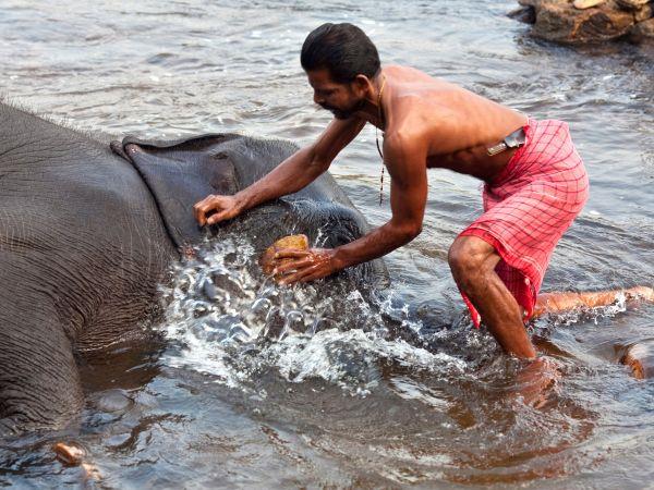 Kerala and Karnataka small group holiday, India