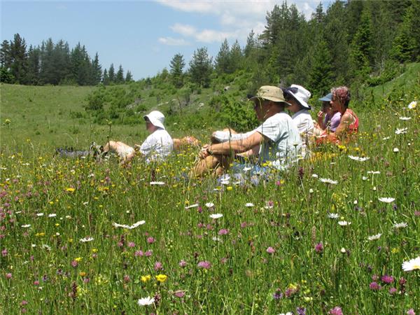 Rodopi Mountains walking holiday in Bulgaria