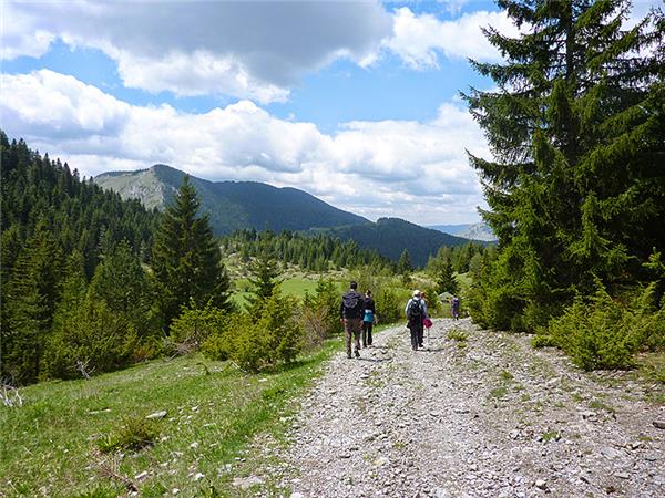Rodopi Mountains walking holiday in Bulgaria