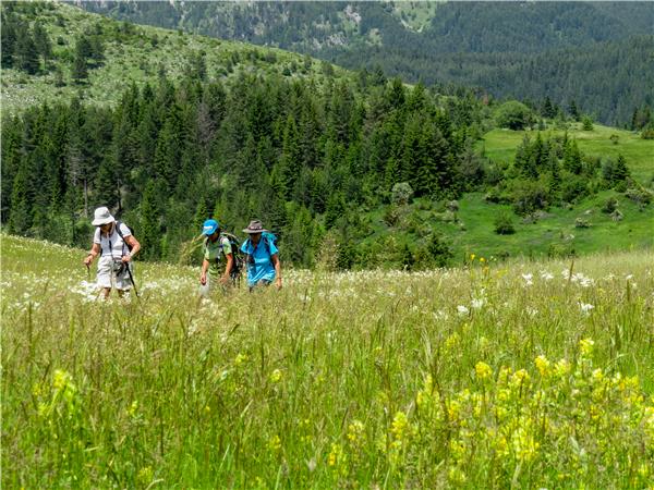 Rodopi Mountains walking holiday in Bulgaria