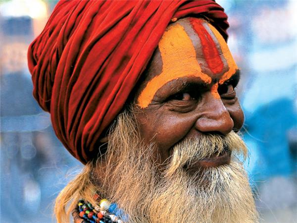 Family holiday to India, sightseeing and safari