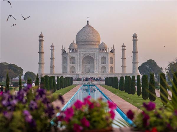 Family holiday to India, sightseeing and safari