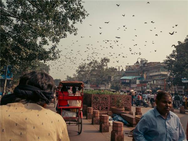 Family holiday to India, sightseeing and safari