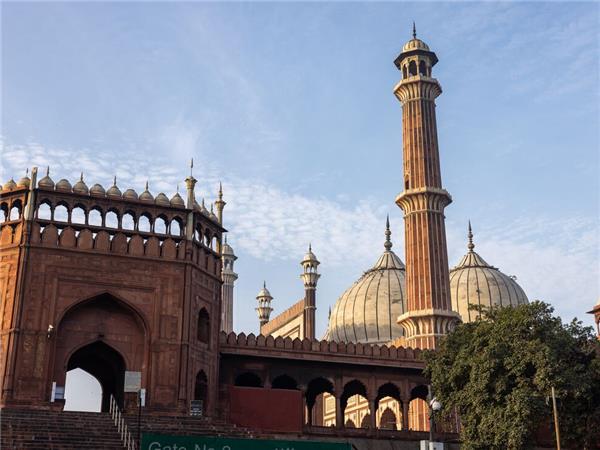Family holiday to India, sightseeing and safari