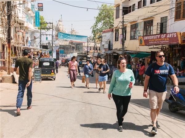 Family holiday to India, sightseeing and safari