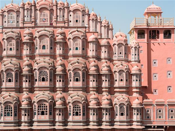 Family holiday to India, sightseeing and safari
