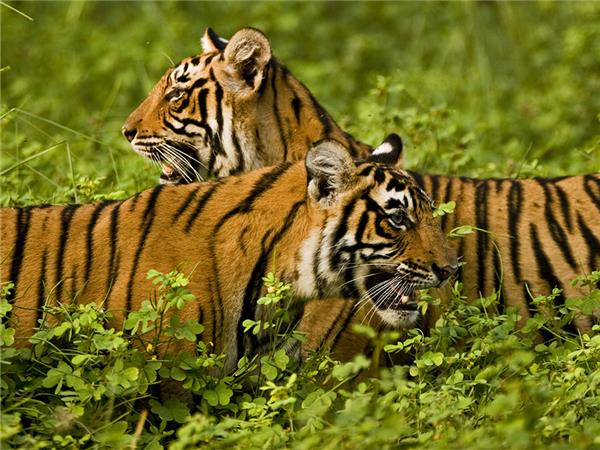 South India & Kerala holiday