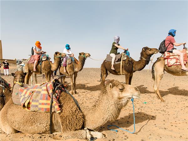 Morocco holiday, small group
