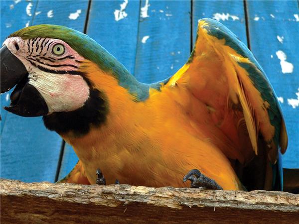 Mexico, Belize & Guatemala tour, Mayan encounter