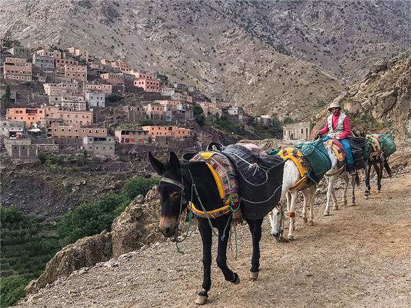 Atlas Mountains trekking tour, Morocco