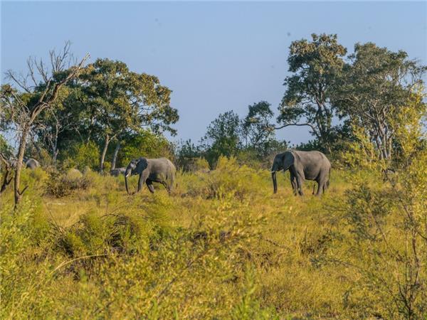 Vic Falls to Johannesburg tour, Southern Africa