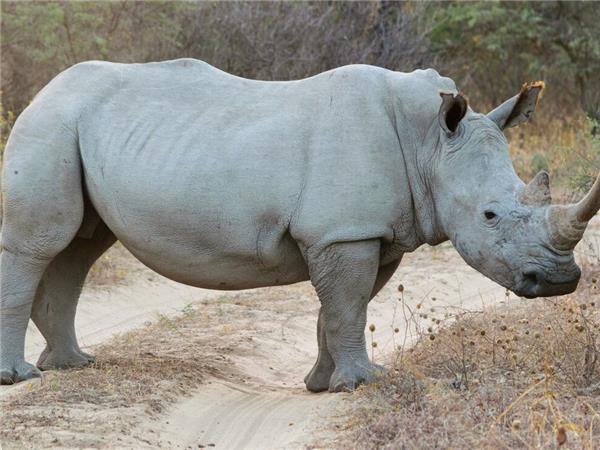 Vic Falls to Johannesburg tour, Southern Africa