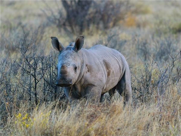 Vic Falls to Johannesburg tour, Southern Africa