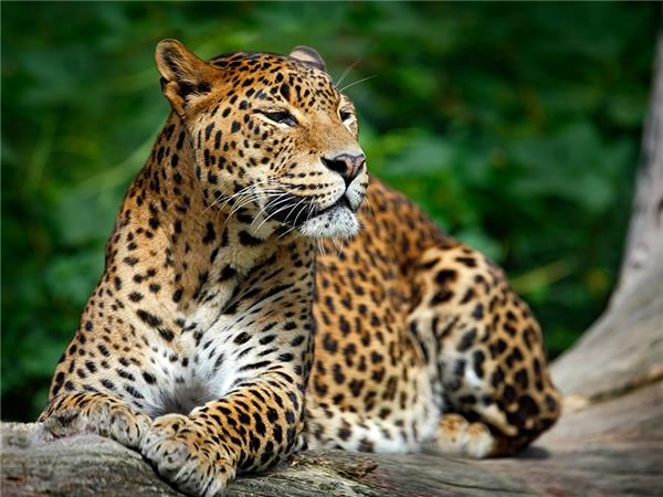 Cycling holiday in Sri lanka
