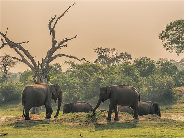 Cycling holiday in Sri lanka