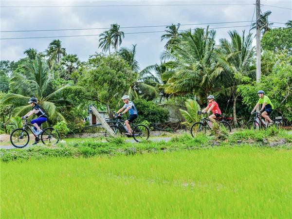 Cycling holiday in Sri lanka