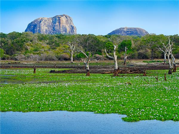 Cycling holiday in Sri lanka