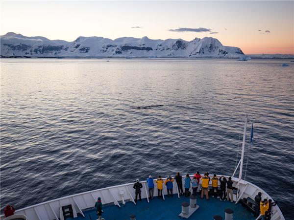 2023 Antarctica, South Georgia & Falklands cruise