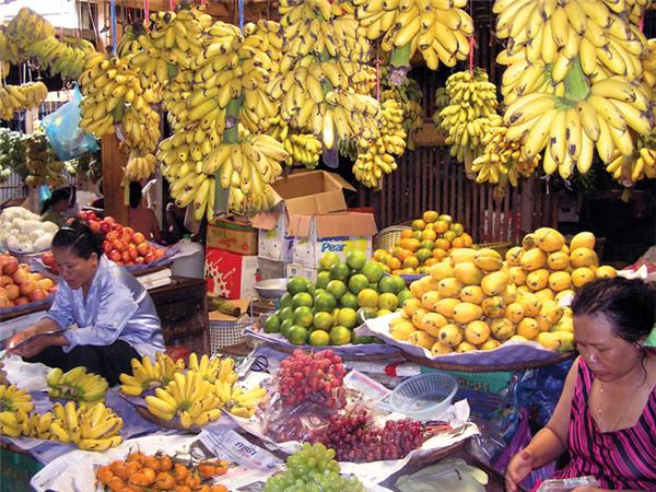 Indochina tour, small group
