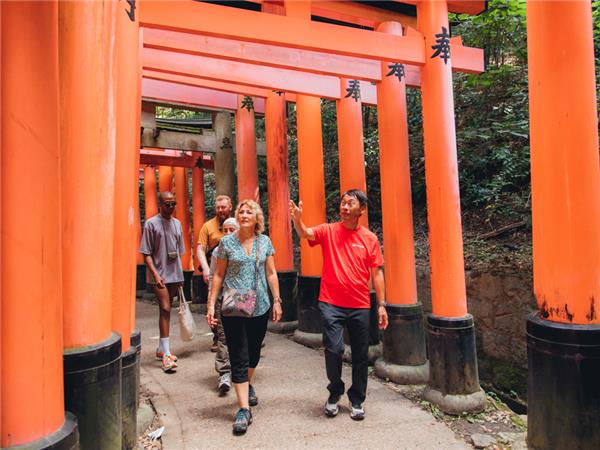 Japan tour with added comfort