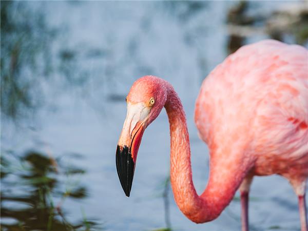 Galapagos cruise holiday