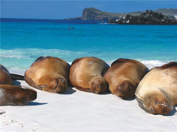 Galapagos cruise holiday