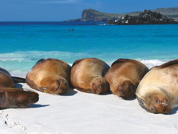 Galapagos cruise holiday