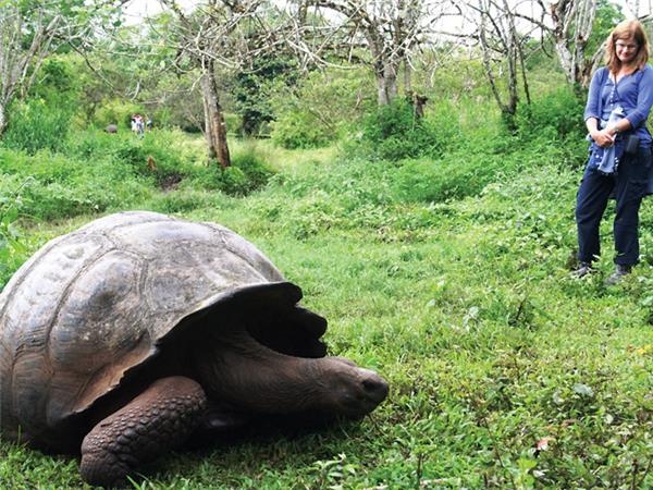 Galapagos and Inca Trail tour