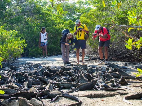 Galapagos and Inca Trail tour