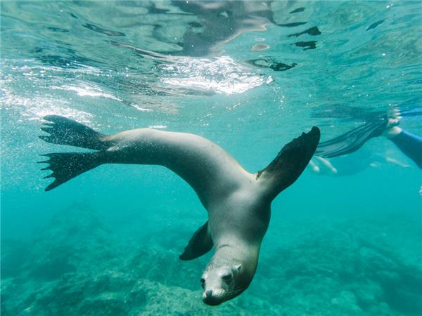 Galapagos family holiday