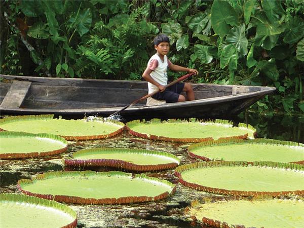 Peru Amazon tour, 4 days
