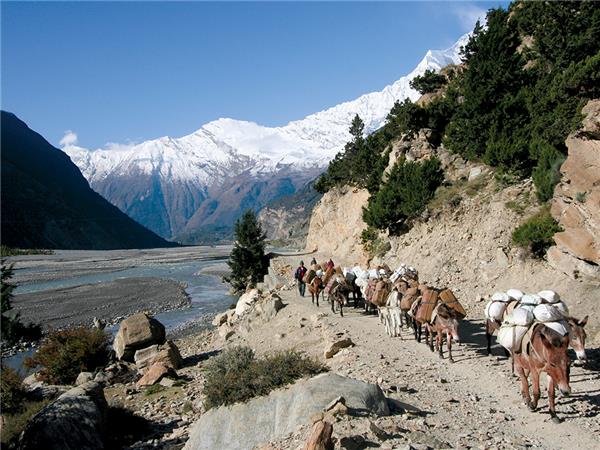 Annapurna Sanctuary trekking holiday