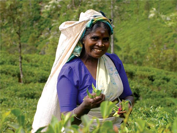 Sri Lanka small group tour with added comfort