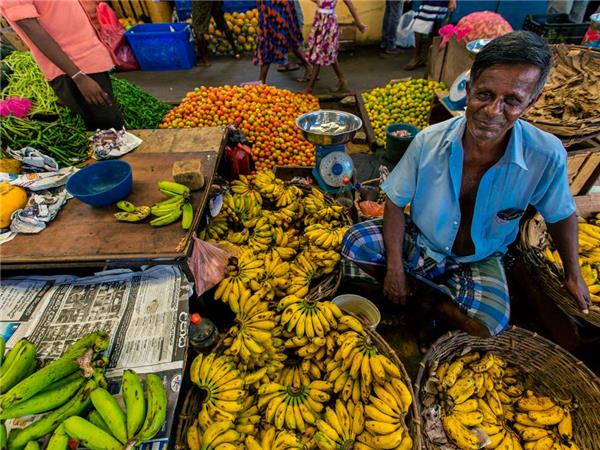 Sri Lanka small group tour with added comfort