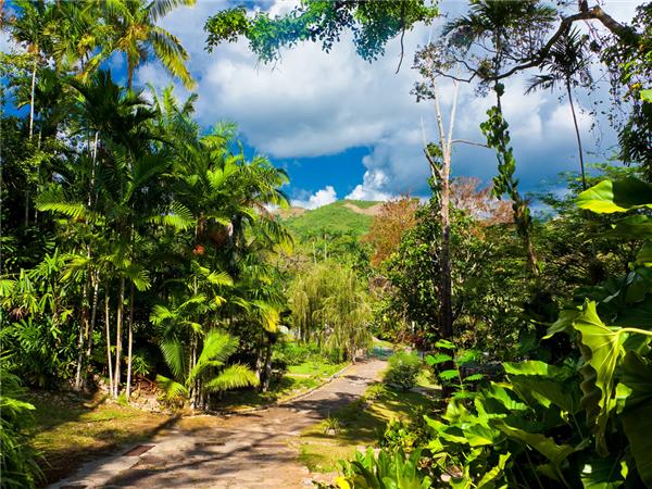 Cuba family holiday