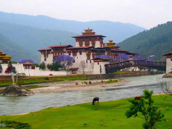 Bird watching tour in Bhutan