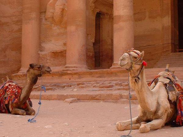 Family adventure holiday in Jordan