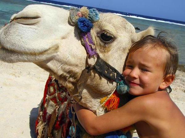 Family culture & adventure holiday to Egypt