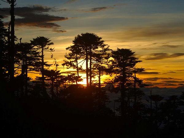 Gangtey trekking tour, Bhutan