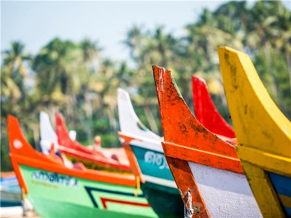 Small group cycling holiday in Kerala, India