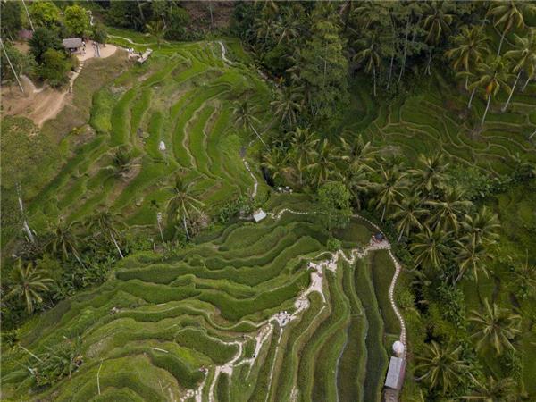 Bali cycling holiday in Indonesia