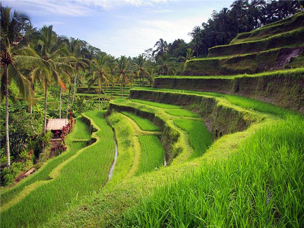 Bali cycling holiday in Indonesia