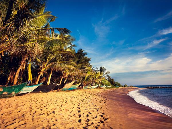 Family holiday in Sri Lanka