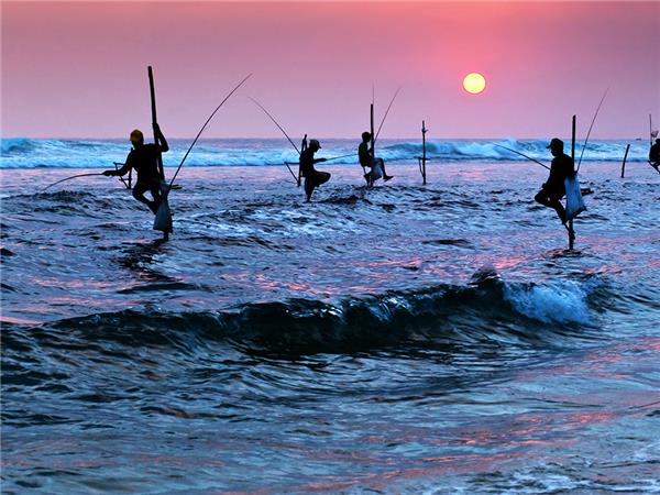 Family holiday in Sri Lanka