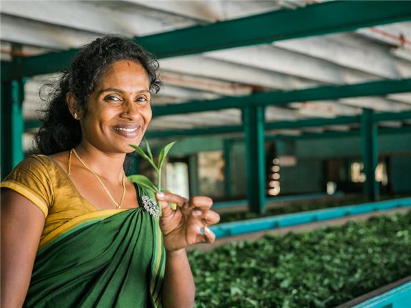Family holiday in Sri Lanka